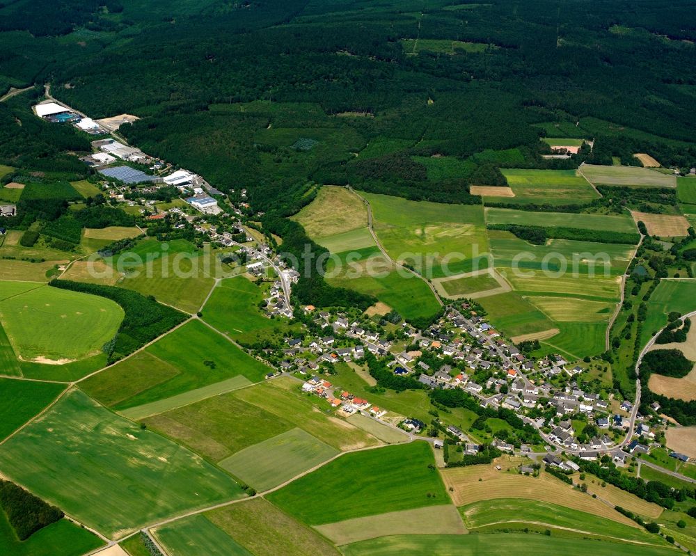 Aerial image Schwollen - Agricultural land and field boundaries surround the settlement area of the village in Schwollen in the state Rhineland-Palatinate, Germany