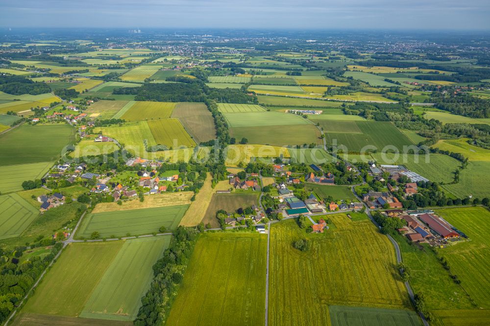 Aerial photograph Süddinker - Agricultural land and field boundaries surround the settlement area of the village in Süddinker at Ruhrgebiet in the state North Rhine-Westphalia, Germany