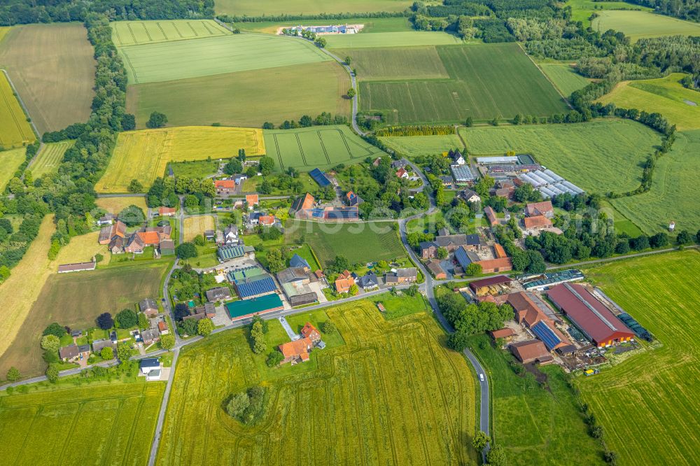 Süddinker from above - Agricultural land and field boundaries surround the settlement area of the village in Süddinker at Ruhrgebiet in the state North Rhine-Westphalia, Germany