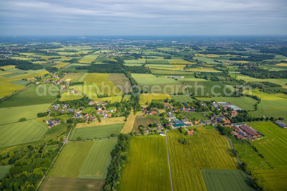 Aerial photograph Süddinker - Agricultural land and field boundaries surround the settlement area of the village in Süddinker at Ruhrgebiet in the state North Rhine-Westphalia, Germany