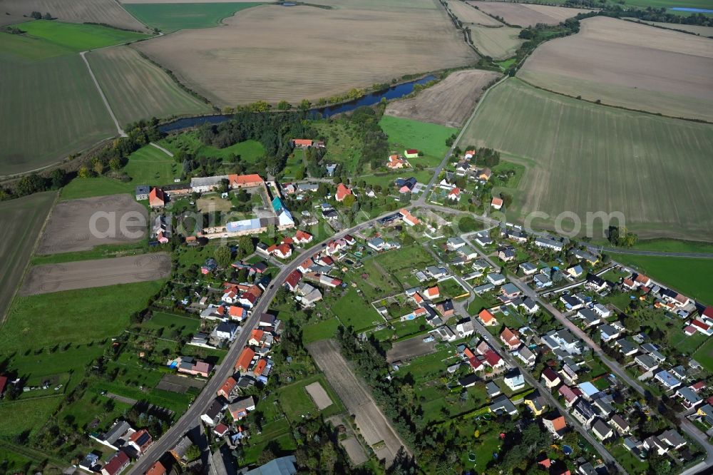 Aerial image Seegrehna - Agricultural land and field boundaries surround the settlement area of the village in Seegrehna in the state Saxony-Anhalt, Germany