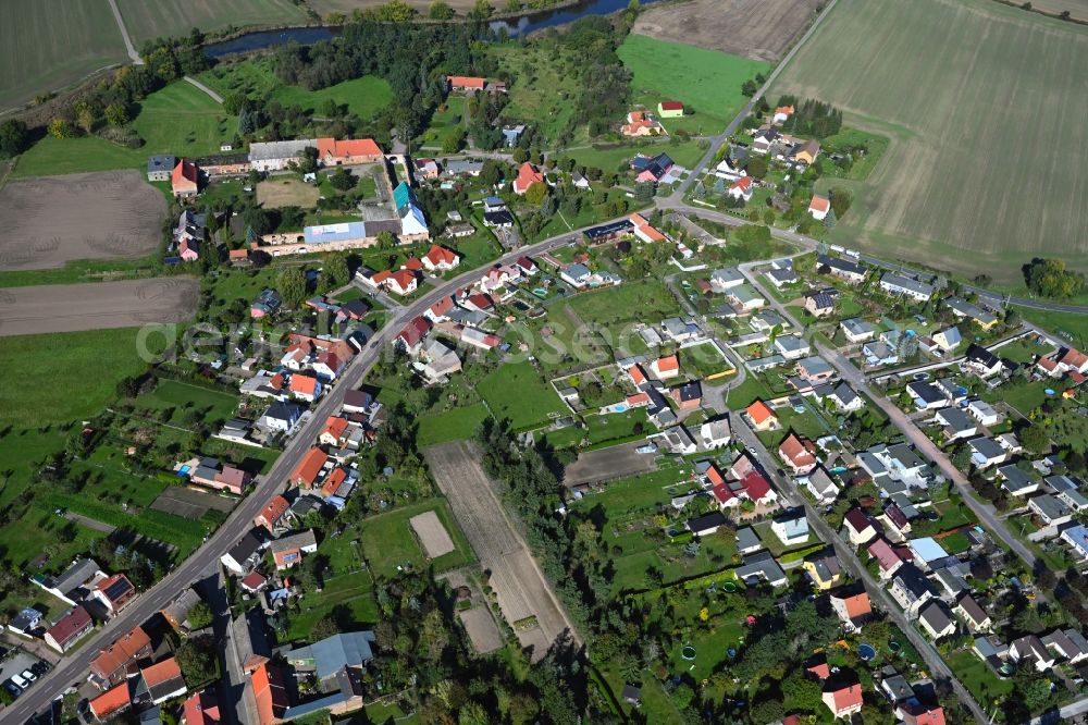 Aerial photograph Seegrehna - Agricultural land and field boundaries surround the settlement area of the village in Seegrehna in the state Saxony-Anhalt, Germany