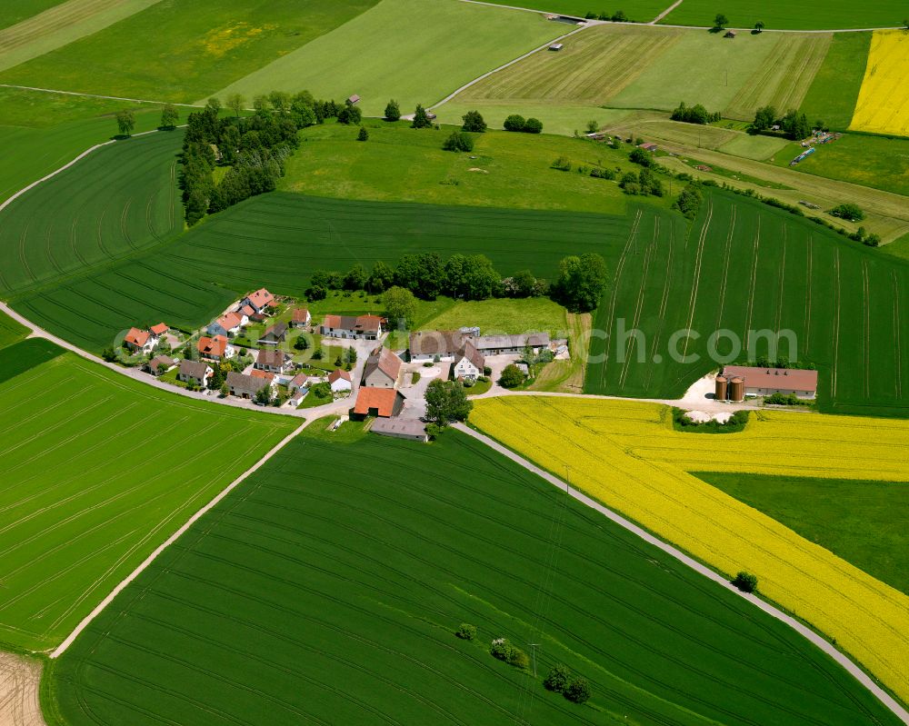 Seekirch from above - Agricultural land and field boundaries surround the settlement area of the village in Seekirch in the state Baden-Wuerttemberg, Germany