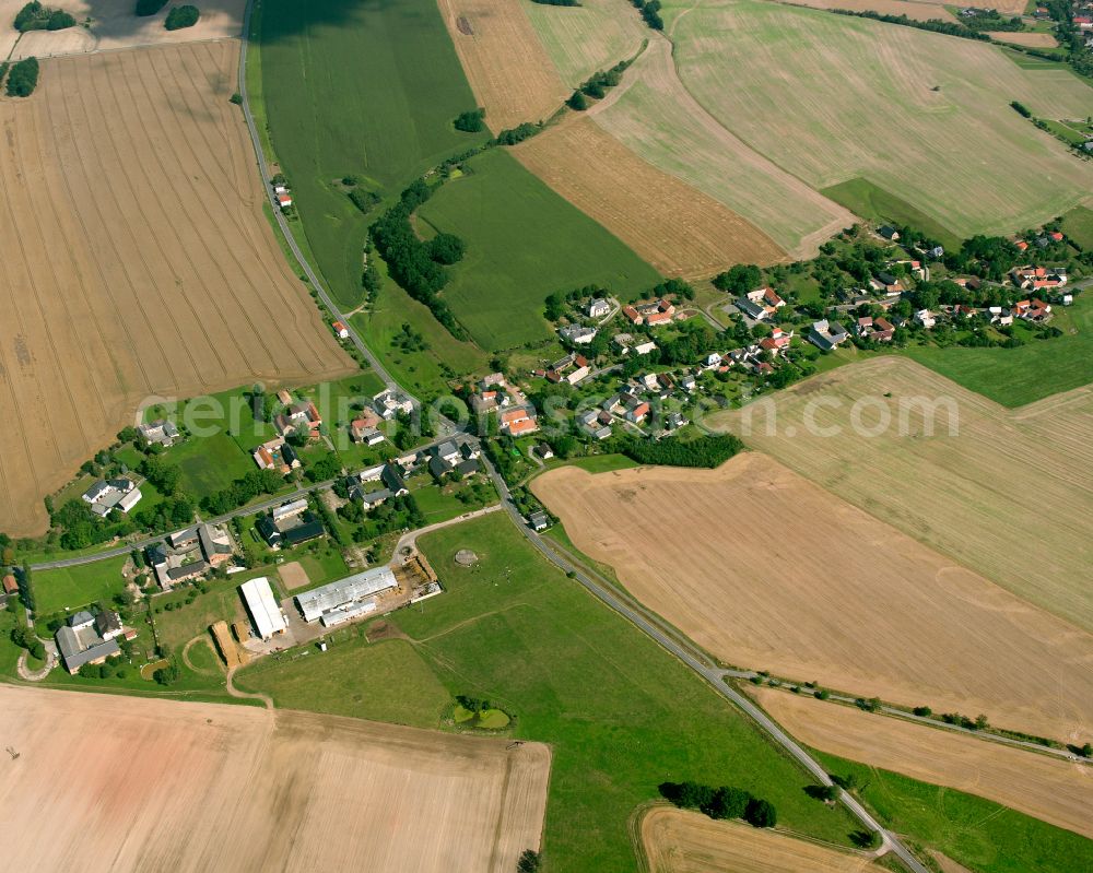 Aerial photograph Seelingstädt - Agricultural land and field boundaries surround the settlement area of the village in Seelingstädt in the state Thuringia, Germany