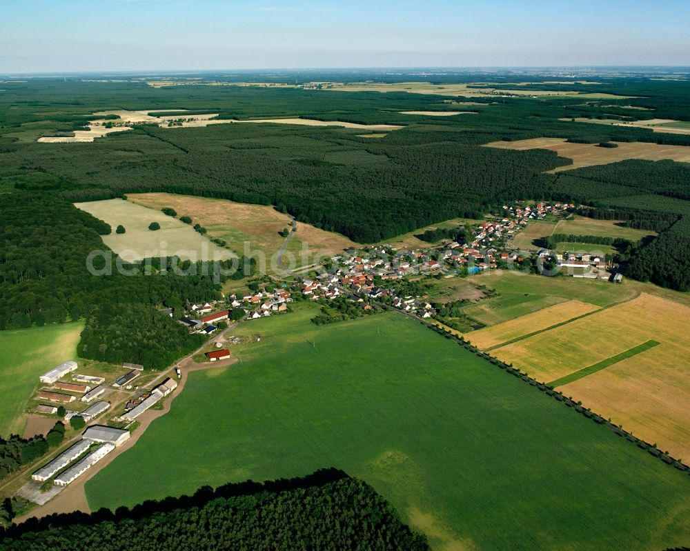 Serno from above - Agricultural land and field boundaries surround the settlement area of the village in Serno in the state Saxony-Anhalt, Germany