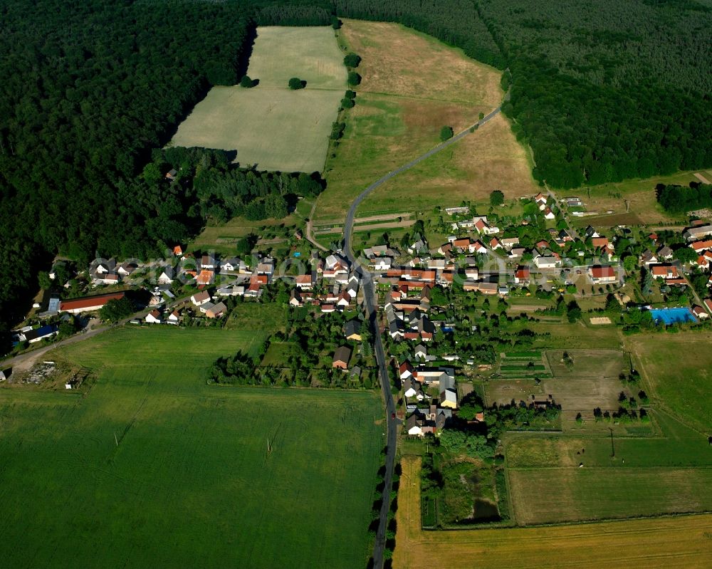 Aerial image Serno - Agricultural land and field boundaries surround the settlement area of the village in Serno in the state Saxony-Anhalt, Germany