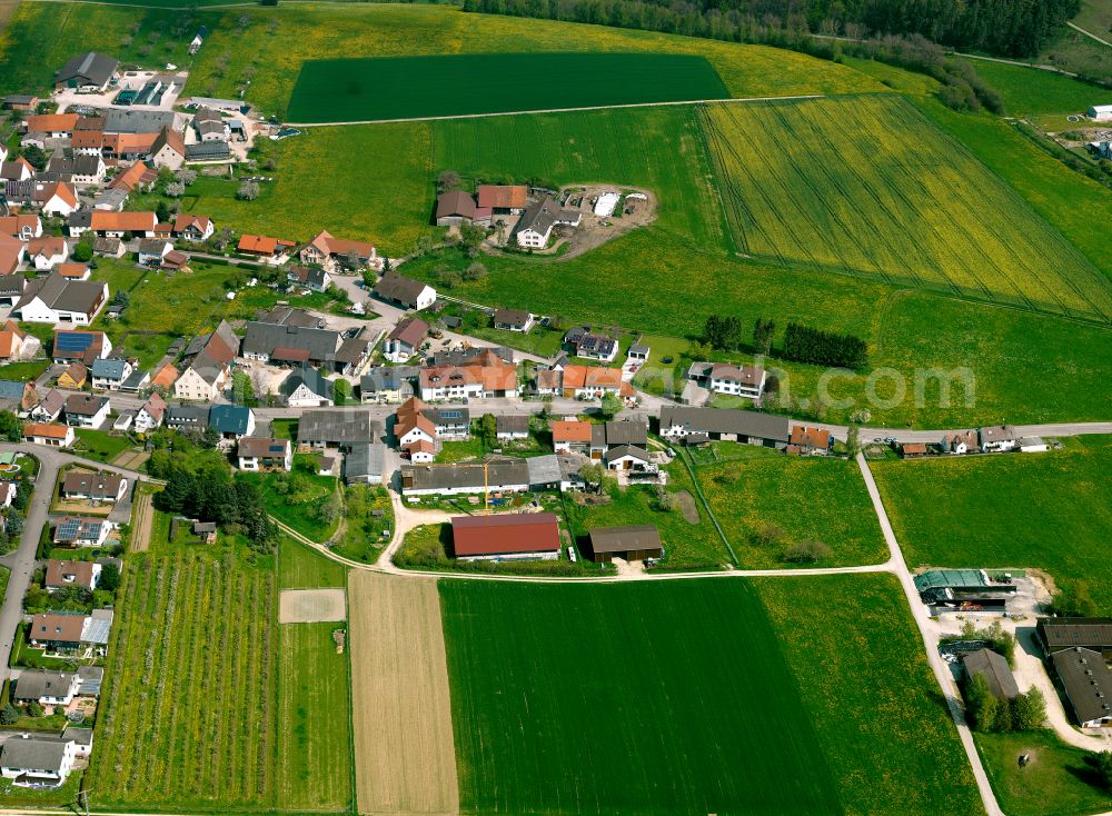 Setzingen from the bird's eye view: Agricultural land and field boundaries surround the settlement area of the village in Setzingen in the state Baden-Wuerttemberg, Germany