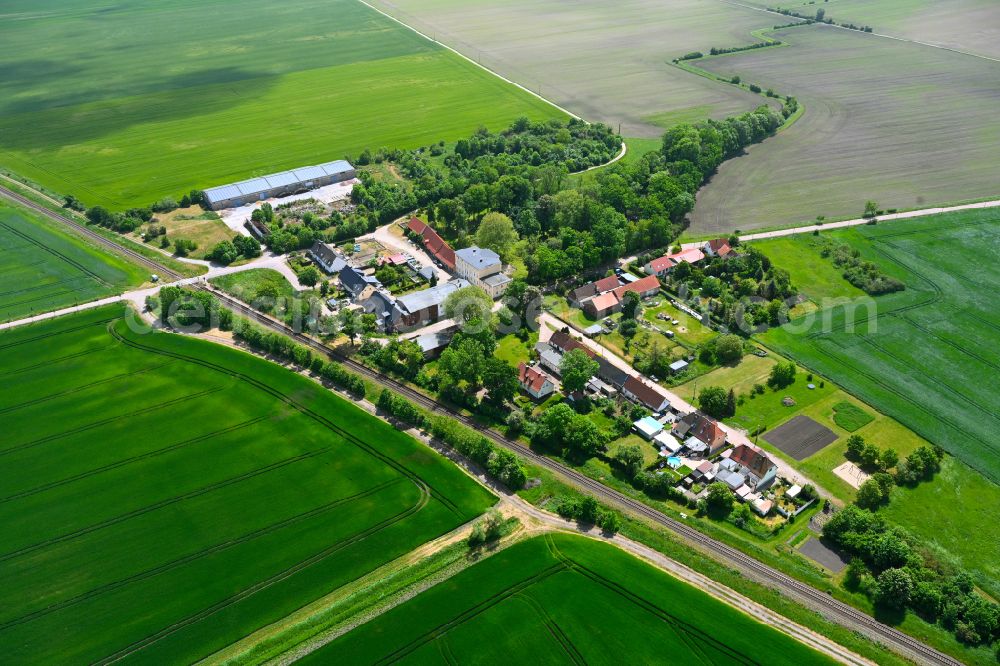 Aerial photograph Sibbesdorf - Agricultural land and field boundaries surround the settlement area of the village in Sibbesdorf in the state Saxony-Anhalt, Germany