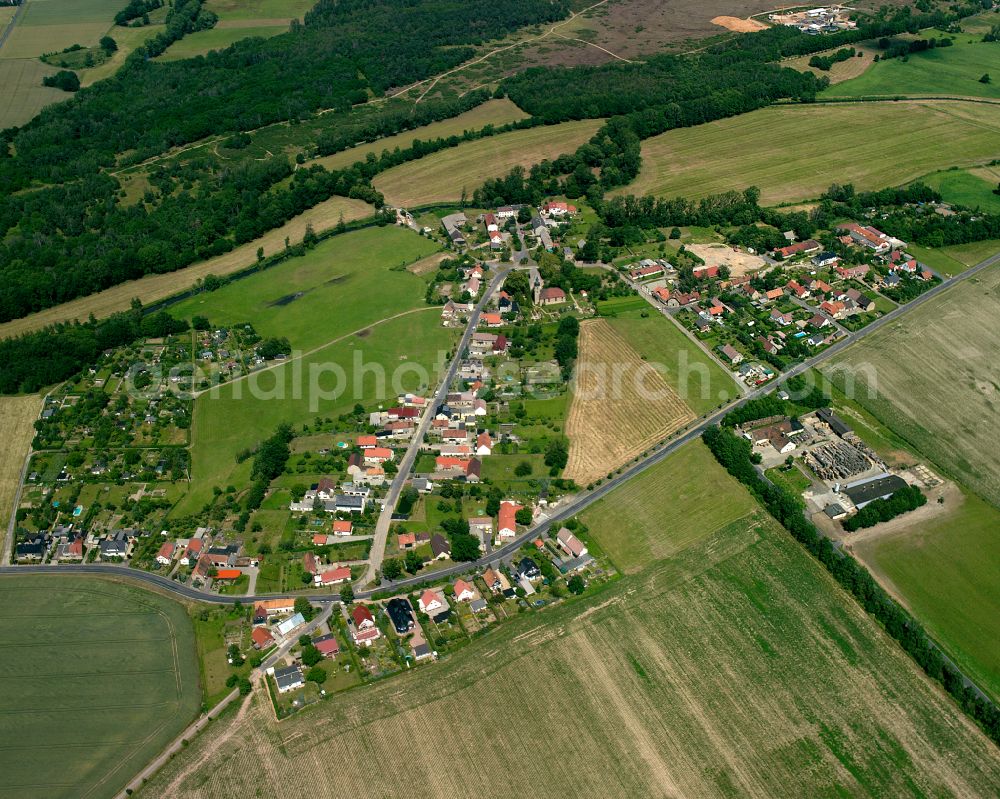 Skassa from the bird's eye view: Agricultural land and field boundaries surround the settlement area of the village in Skassa in the state Saxony, Germany