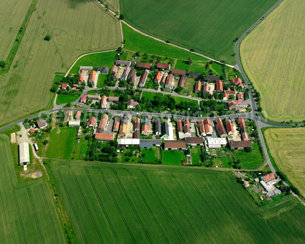 Aerial photograph Skaup - Agricultural land and field boundaries surround the settlement area of the village in Skaup in the state Saxony, Germany