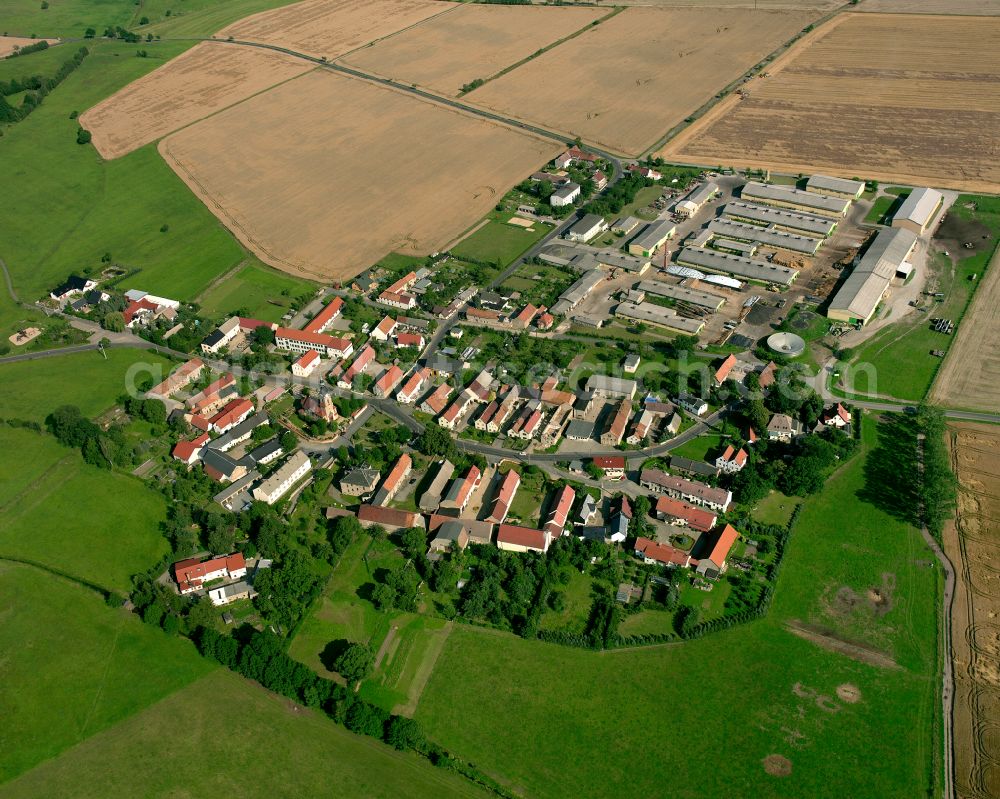 Aerial photograph Skäßchen - Agricultural land and field boundaries surround the settlement area of the village in Skäßchen in the state Saxony, Germany