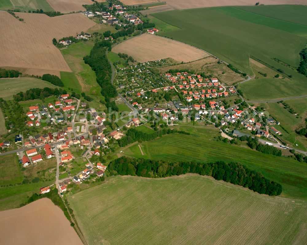 Söllmnitz from the bird's eye view: Agricultural land and field boundaries surround the settlement area of the village in Söllmnitz in the state Thuringia, Germany