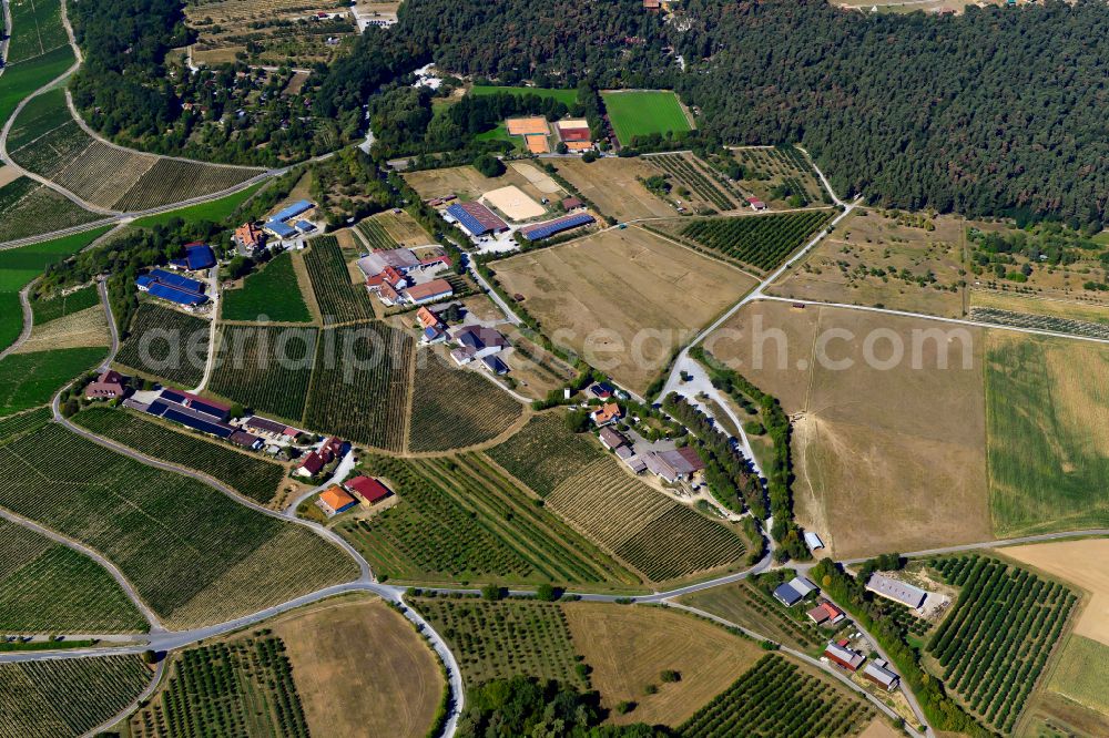 Aerial photograph Sommerhausen - Agricultural land and field boundaries surround the settlement area of the village in Sommerhausen in the state Bavaria, Germany