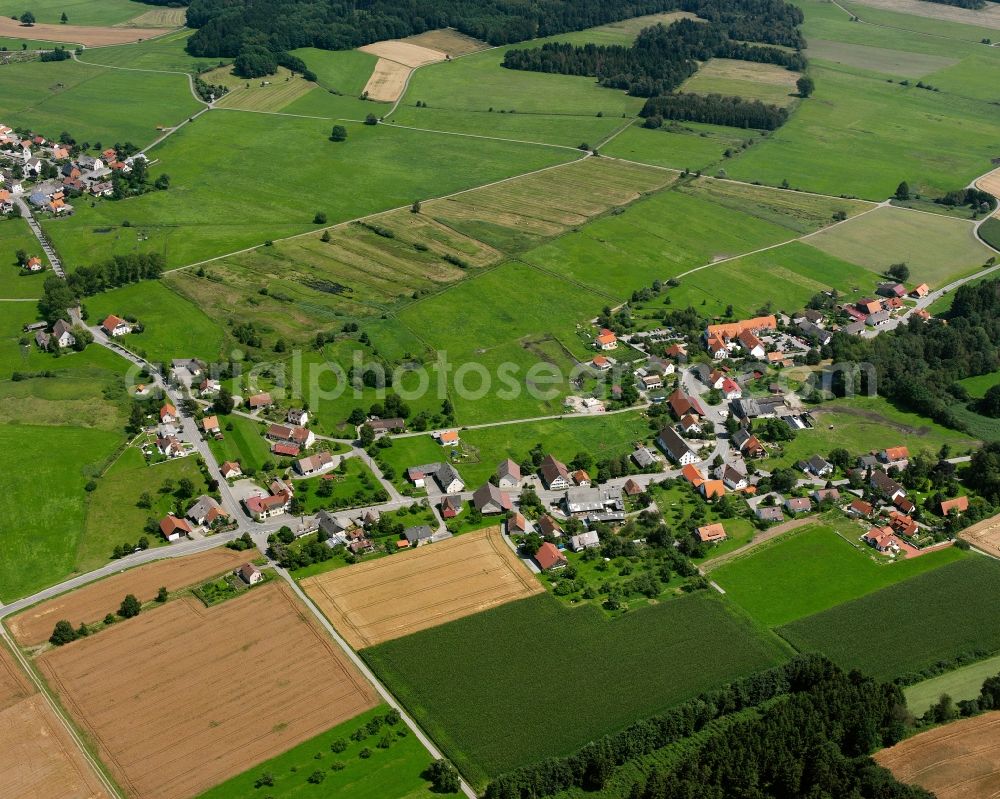 Aerial image Spöck - Agricultural land and field boundaries surround the settlement area of the village in Spöck in the state Baden-Wuerttemberg, Germany