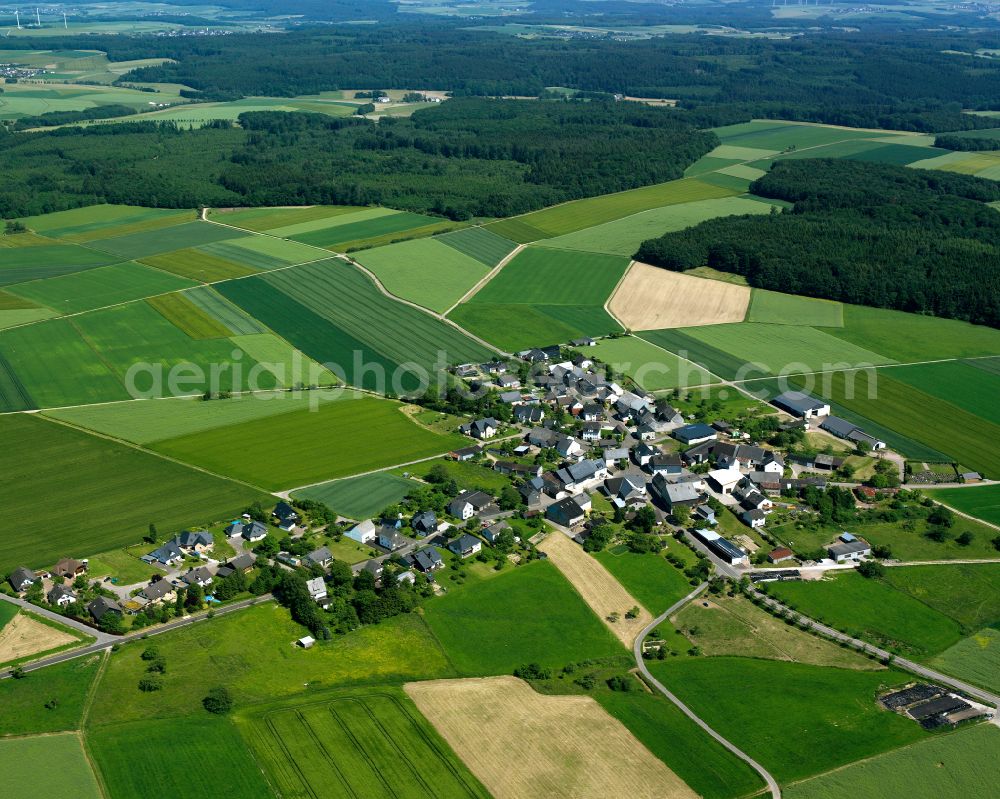 Aerial image Spesenroth - Agricultural land and field boundaries surround the settlement area of the village in Spesenroth in the state Rhineland-Palatinate, Germany