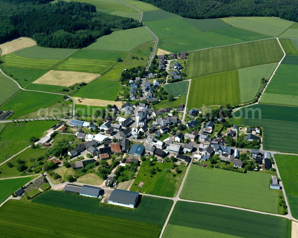 Aerial photograph Spesenroth - Agricultural land and field boundaries surround the settlement area of the village in Spesenroth in the state Rhineland-Palatinate, Germany