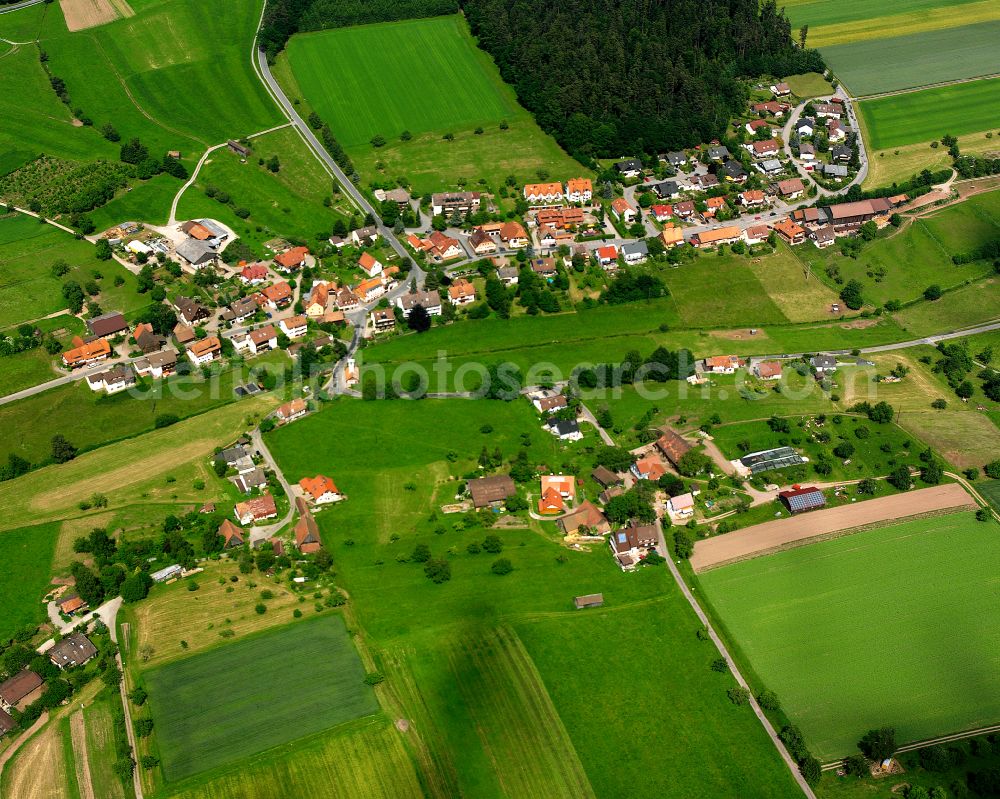 Aerial photograph Speßhardt - Agricultural land and field boundaries surround the settlement area of the village in Speßhardt in the state Baden-Wuerttemberg, Germany