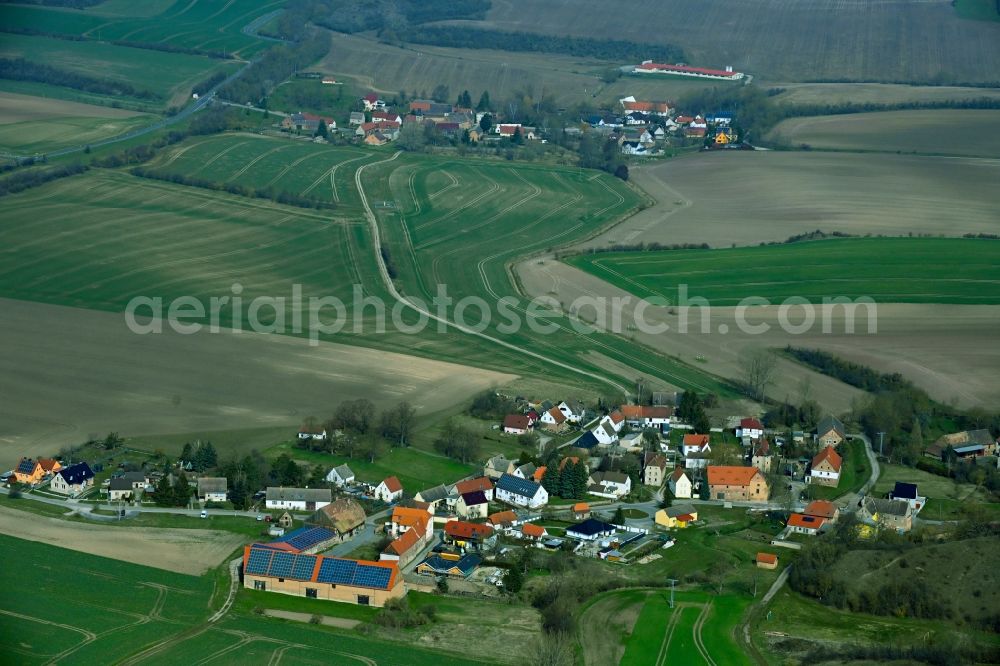 Aerial image Spielberg - Agricultural land and field boundaries surround the settlement area of the village in Spielberg in the state Saxony-Anhalt, Germany