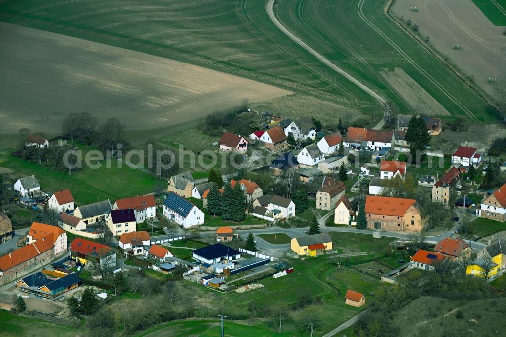 Aerial photograph Spielberg - Agricultural land and field boundaries surround the settlement area of the village in Spielberg in the state Saxony-Anhalt, Germany