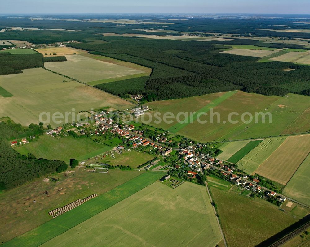 Stackelitz from the bird's eye view: Agricultural land and field boundaries surround the settlement area of the village in Stackelitz in the state Saxony-Anhalt, Germany