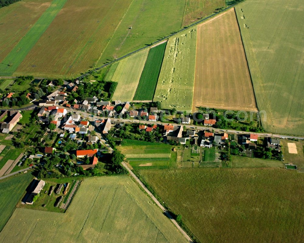 Aerial image Stackelitz - Agricultural land and field boundaries surround the settlement area of the village in Stackelitz in the state Saxony-Anhalt, Germany