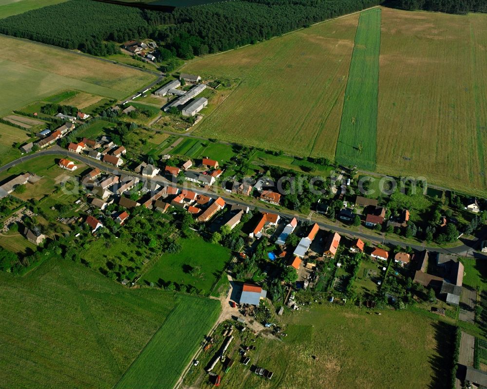 Aerial photograph Stackelitz - Agricultural land and field boundaries surround the settlement area of the village in Stackelitz in the state Saxony-Anhalt, Germany