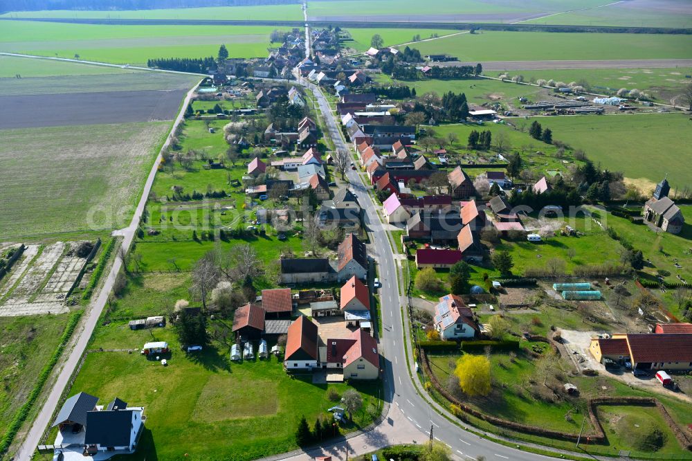 Stackelitz from the bird's eye view: Agricultural land and field boundaries surround the settlement area of the village in Stackelitz in the state Saxony-Anhalt, Germany