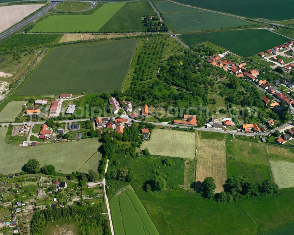 Aerial image Stapelburg - Agricultural land and field boundaries surround the settlement area of the village in Stapelburg in the state Saxony-Anhalt, Germany