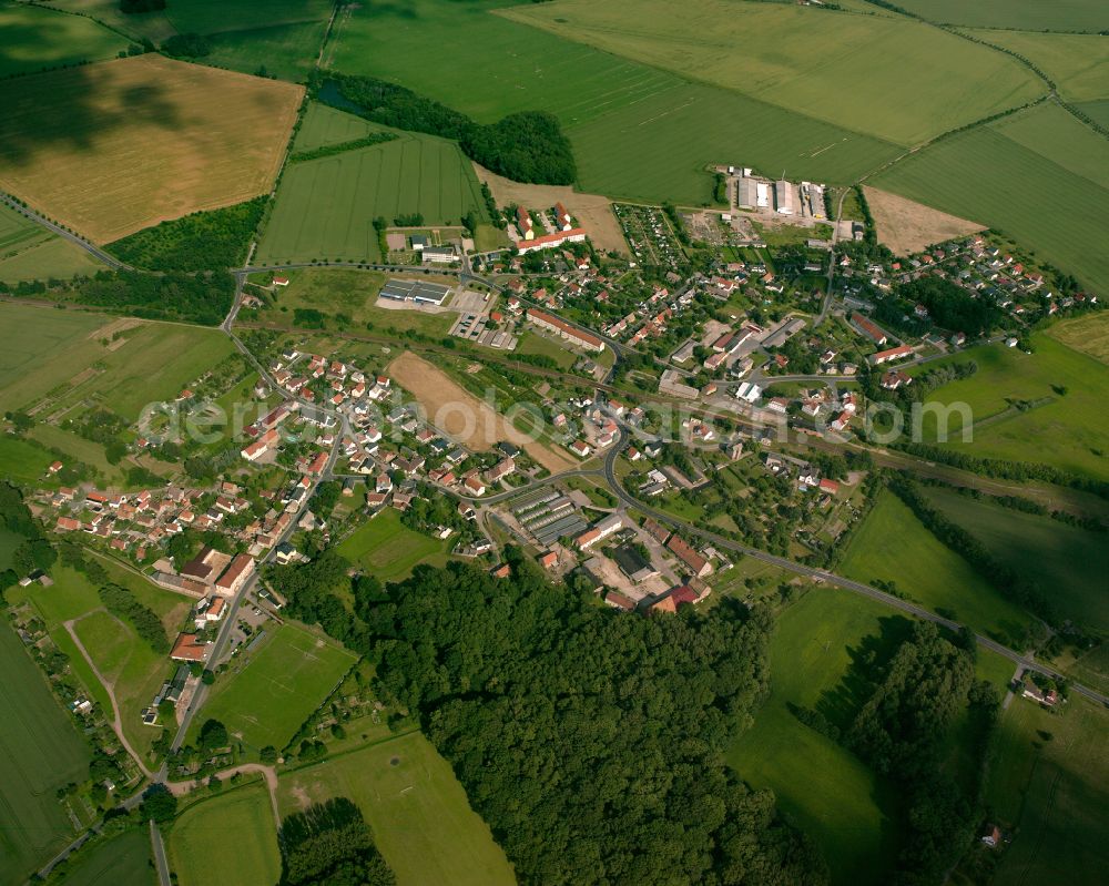 Aerial photograph Stauchitz - Agricultural land and field boundaries surround the settlement area of the village in Stauchitz in the state Saxony, Germany