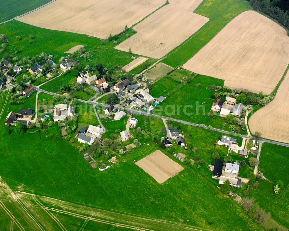 Aerial image Stein - Agricultural land and field boundaries surround the settlement area of the village in Stein in the state Saxony, Germany