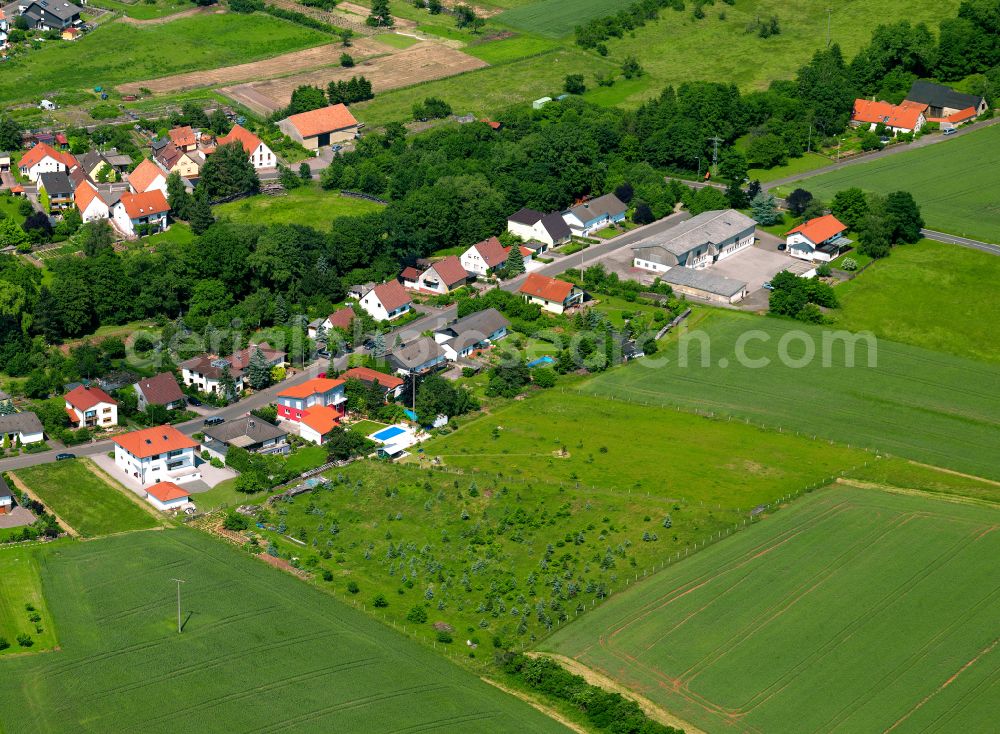 Steinbach am Donnersberg from the bird's eye view: Agricultural land and field boundaries surround the settlement area of the village in Steinbach am Donnersberg in the state Rhineland-Palatinate, Germany