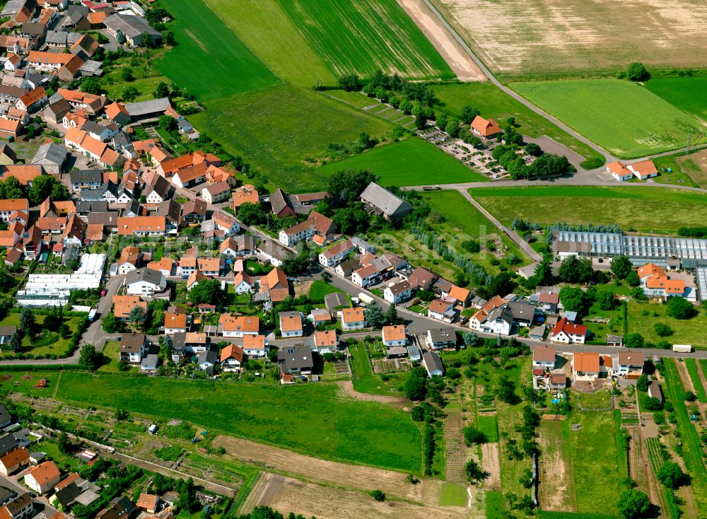 Steinbach am Donnersberg from above - Agricultural land and field boundaries surround the settlement area of the village in Steinbach am Donnersberg in the state Rhineland-Palatinate, Germany