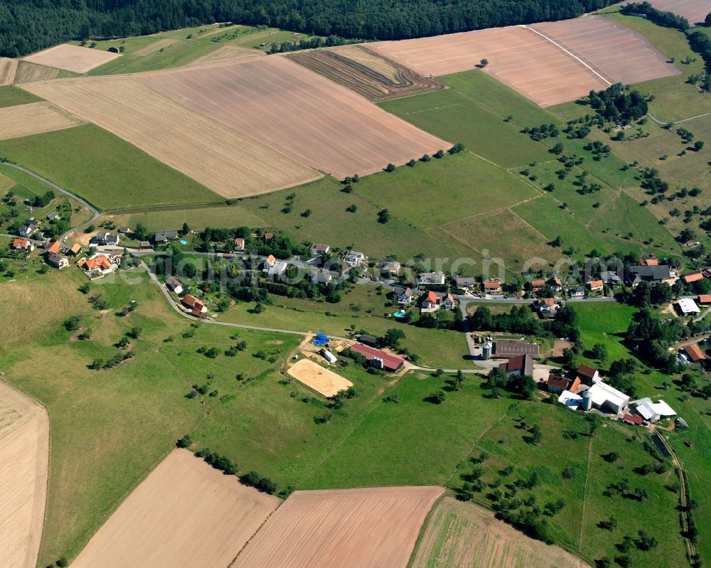 Aerial photograph Steinbuch - Agricultural land and field boundaries surround the settlement area of the village in Steinbuch in the state Hesse, Germany