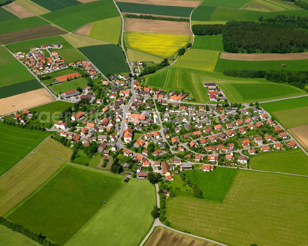 Aerial photograph Steinhausen an der Rottum - Agricultural land and field boundaries surround the settlement area of the village in Steinhausen an der Rottum in the state Baden-Wuerttemberg, Germany