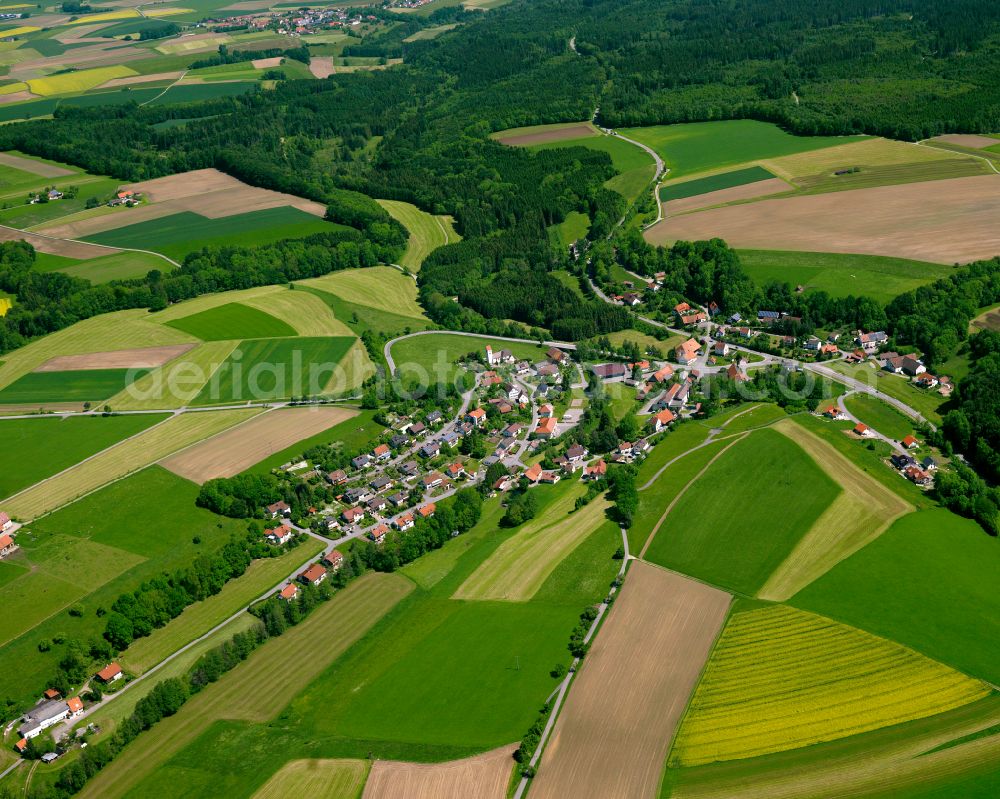 Steinhausen an der Rottum from the bird's eye view: Agricultural land and field boundaries surround the settlement area of the village in Steinhausen an der Rottum in the state Baden-Wuerttemberg, Germany