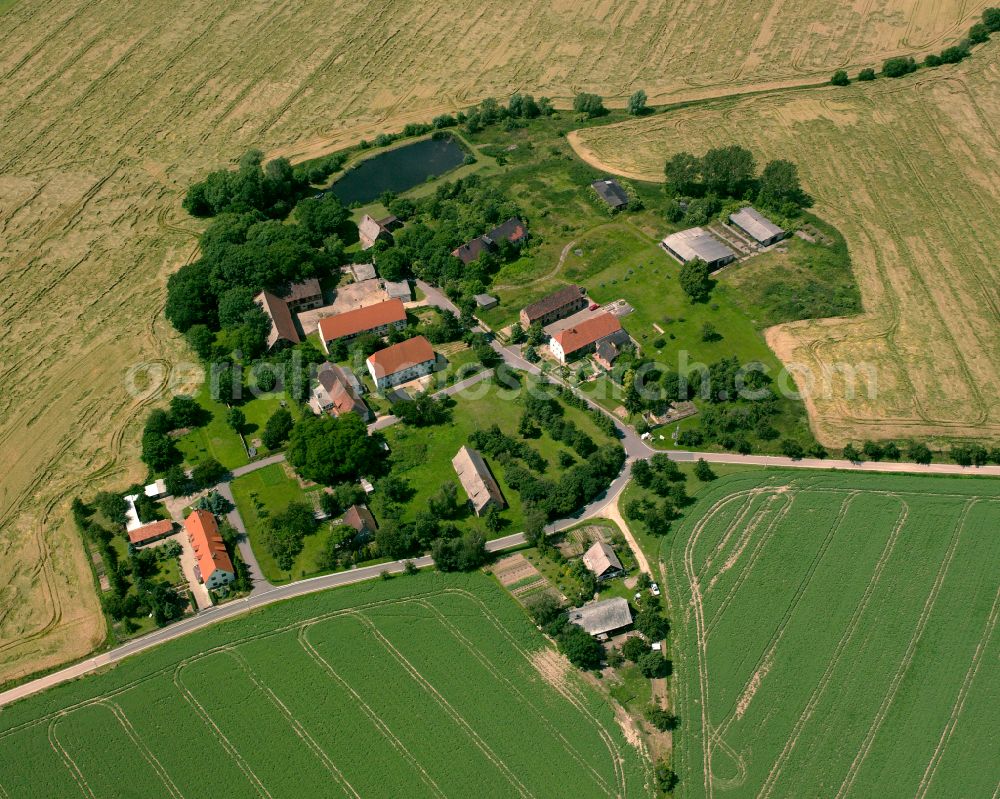 Steudten from the bird's eye view: Agricultural land and field boundaries surround the settlement area of the village in Steudten in the state Saxony, Germany