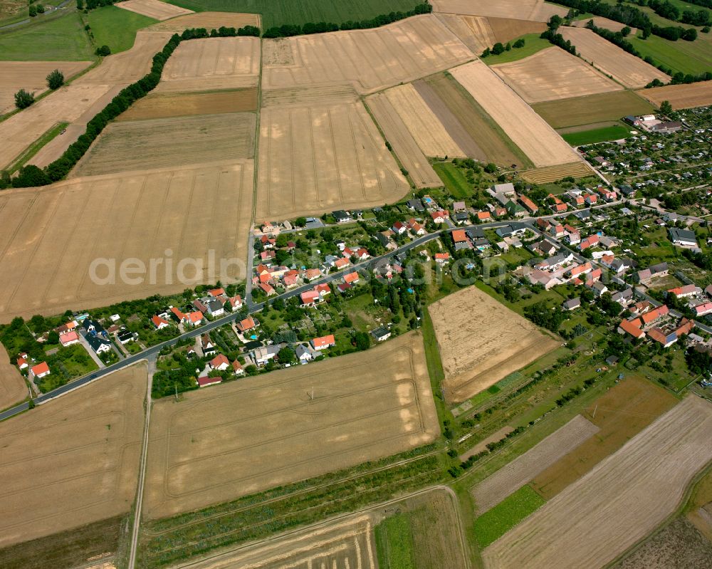 Stolzenhain an der Röder from above - Agricultural land and field boundaries surround the settlement area of the village in Stolzenhain an der Röder in the state Saxony, Germany