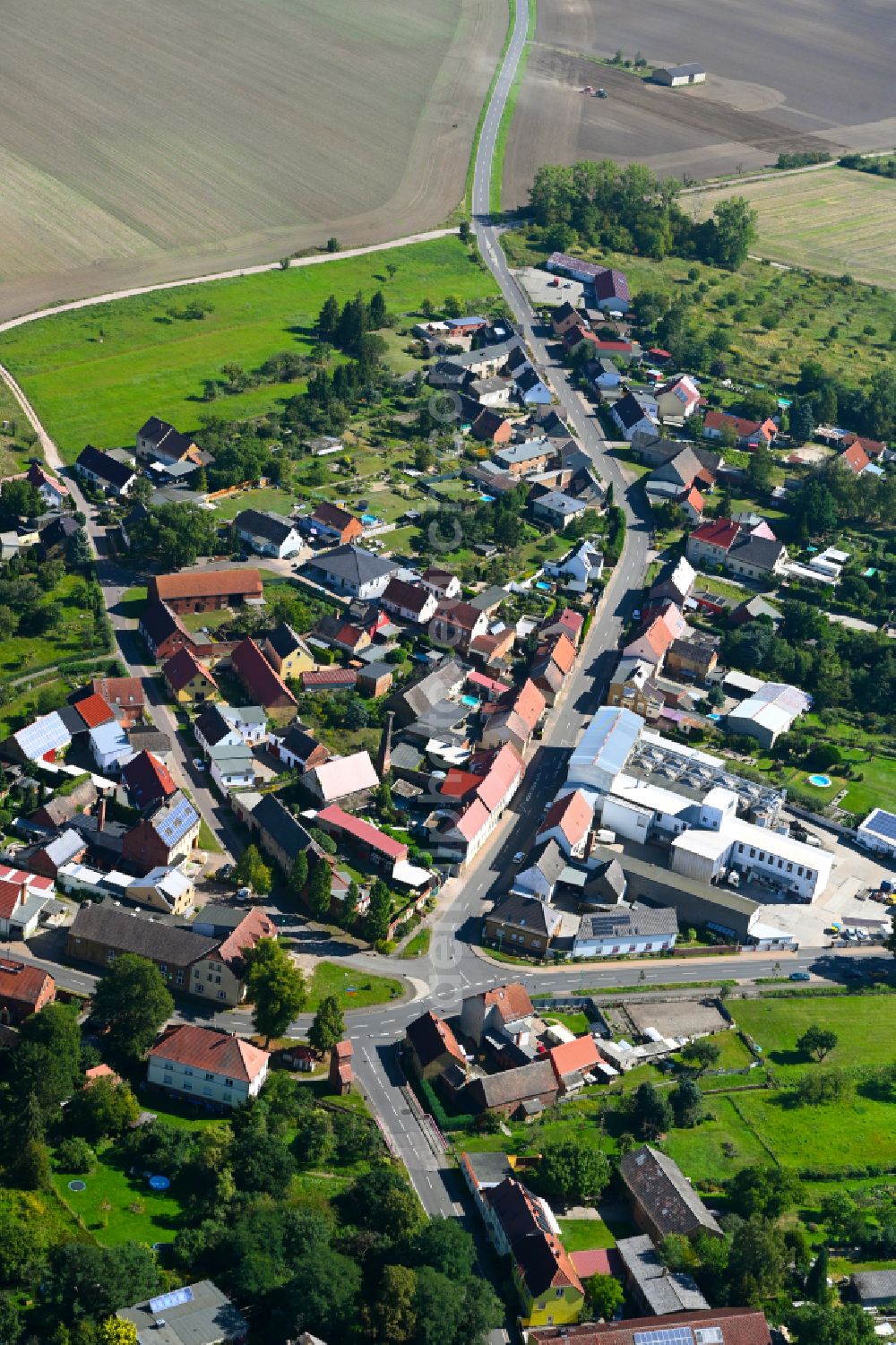 Aerial image Straach - Agricultural land and field boundaries surround the settlement area of the village in Straach in the state Saxony-Anhalt, Germany