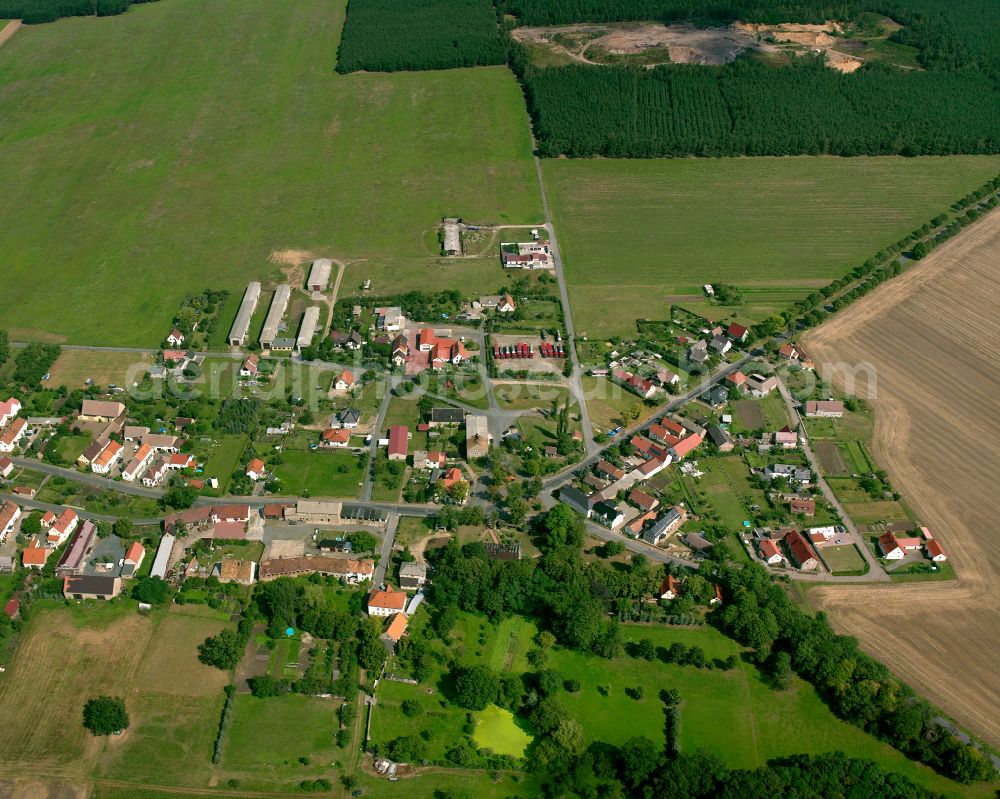 Strauch from above - Agricultural land and field boundaries surround the settlement area of the village in Strauch in the state Saxony, Germany