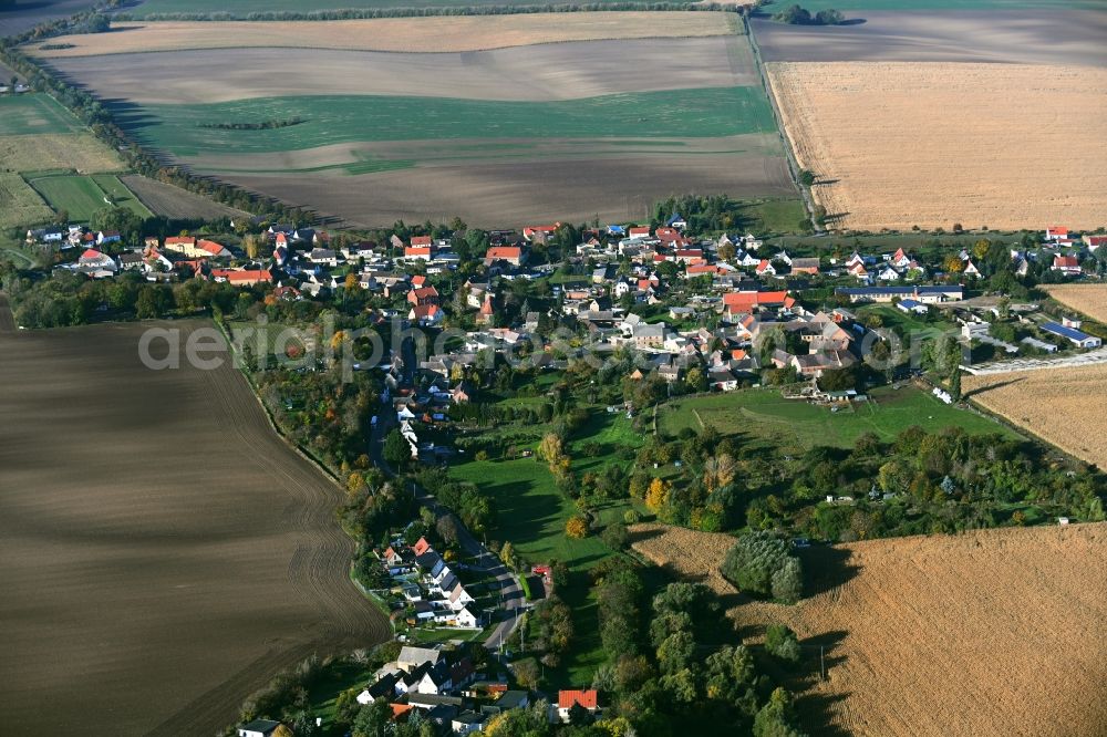 Aerial image Strenznaundorf - Agricultural land and field boundaries surround the settlement area of the village in Strenznaundorf in the state Saxony-Anhalt, Germany