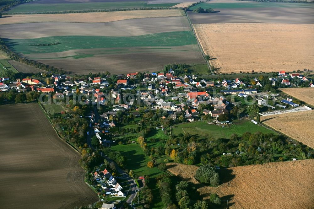 Aerial photograph Strenznaundorf - Agricultural land and field boundaries surround the settlement area of the village in Strenznaundorf in the state Saxony-Anhalt, Germany