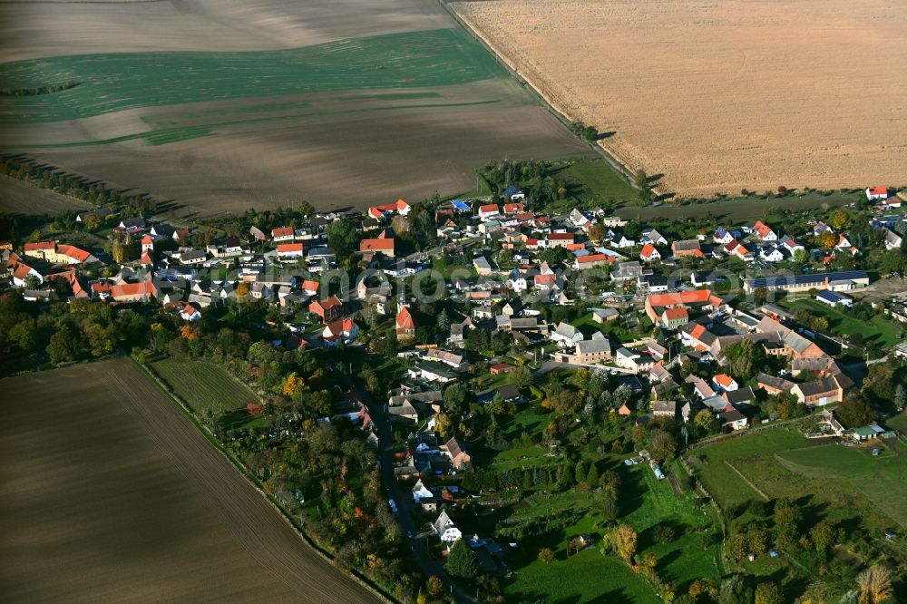 Aerial image Strenznaundorf - Agricultural land and field boundaries surround the settlement area of the village in Strenznaundorf in the state Saxony-Anhalt, Germany