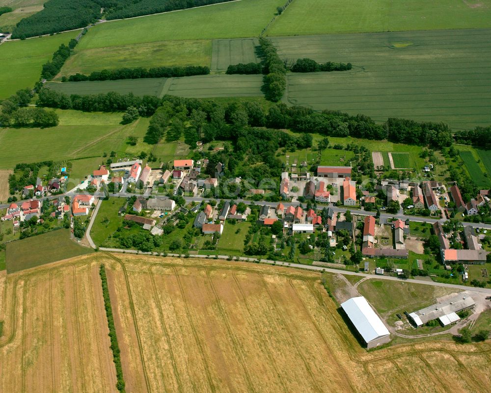 Streumen from above - Agricultural land and field boundaries surround the settlement area of the village in Streumen in the state Saxony, Germany