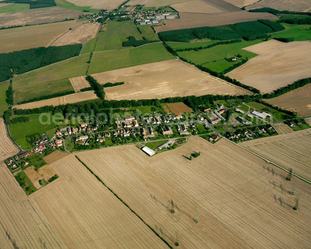 Streumen from the bird's eye view: Agricultural land and field boundaries surround the settlement area of the village in Streumen in the state Saxony, Germany