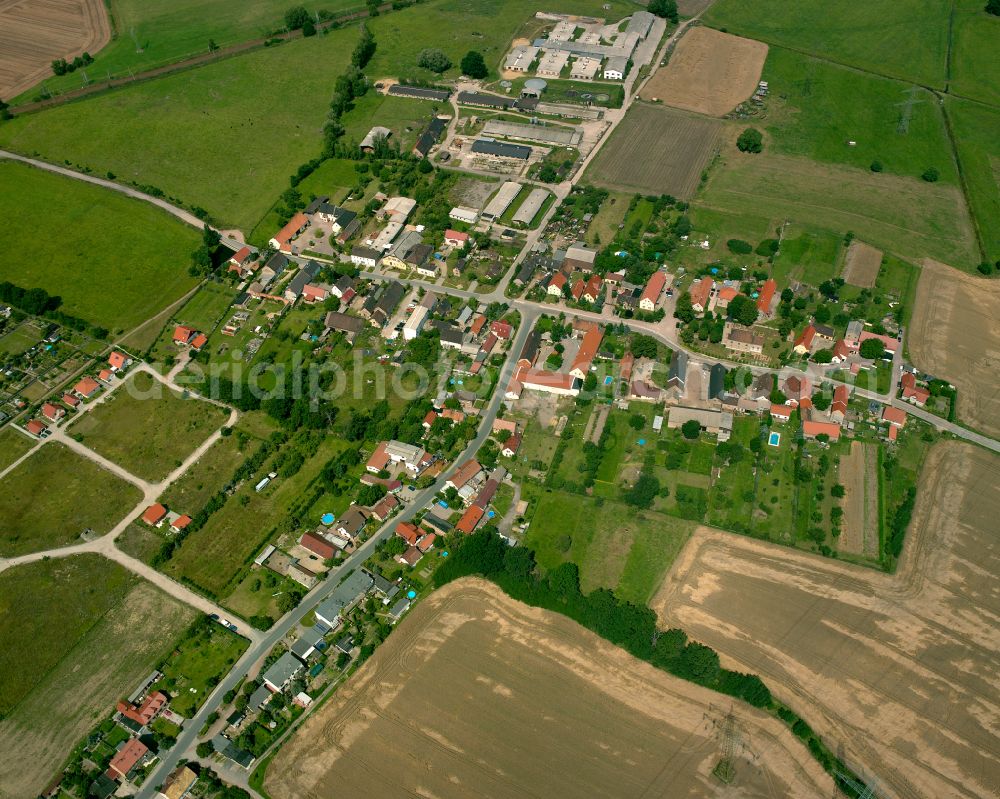 Streumen from above - Agricultural land and field boundaries surround the settlement area of the village in Streumen in the state Saxony, Germany