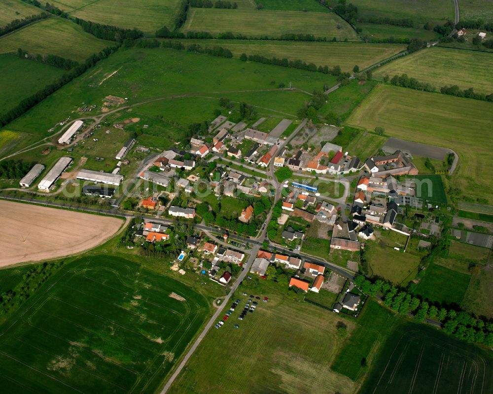 Aerial image Strinum - Agricultural land and field boundaries surround the settlement area of the village in Strinum in the state Saxony-Anhalt, Germany