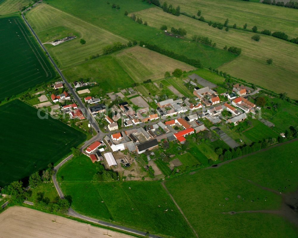 Aerial photograph Strinum - Agricultural land and field boundaries surround the settlement area of the village in Strinum in the state Saxony-Anhalt, Germany