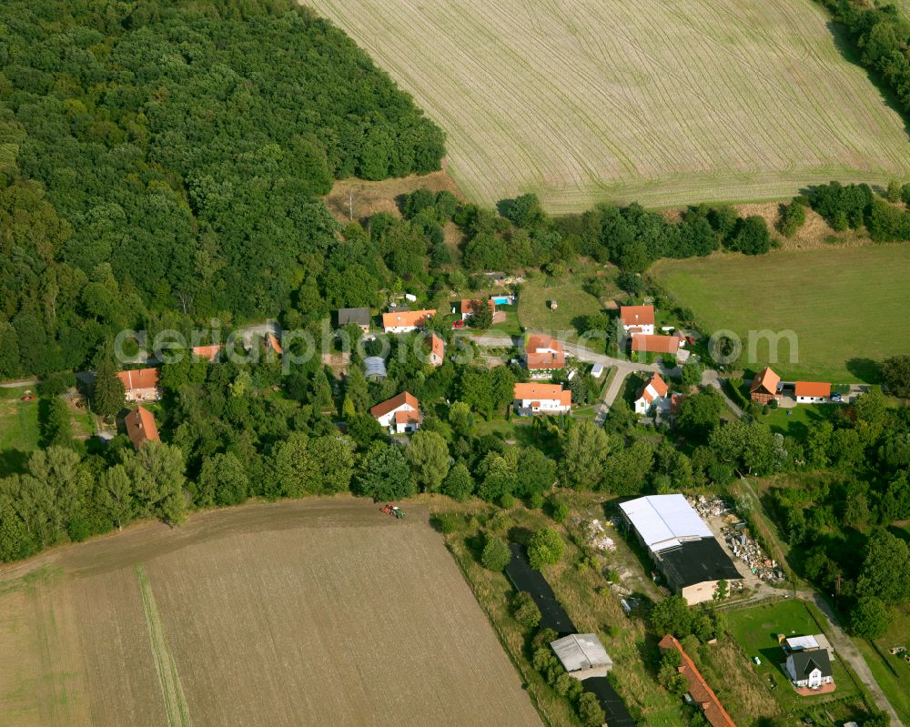 Aerial image Suderode - Agricultural land and field boundaries surround the settlement area of the village in Suderode in the state Saxony-Anhalt, Germany