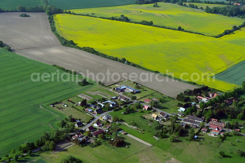 Aerial image Tessenow - Agricultural land and field boundaries surround the settlement area of the village in Tessenow in the state Mecklenburg - Western Pomerania, Germany