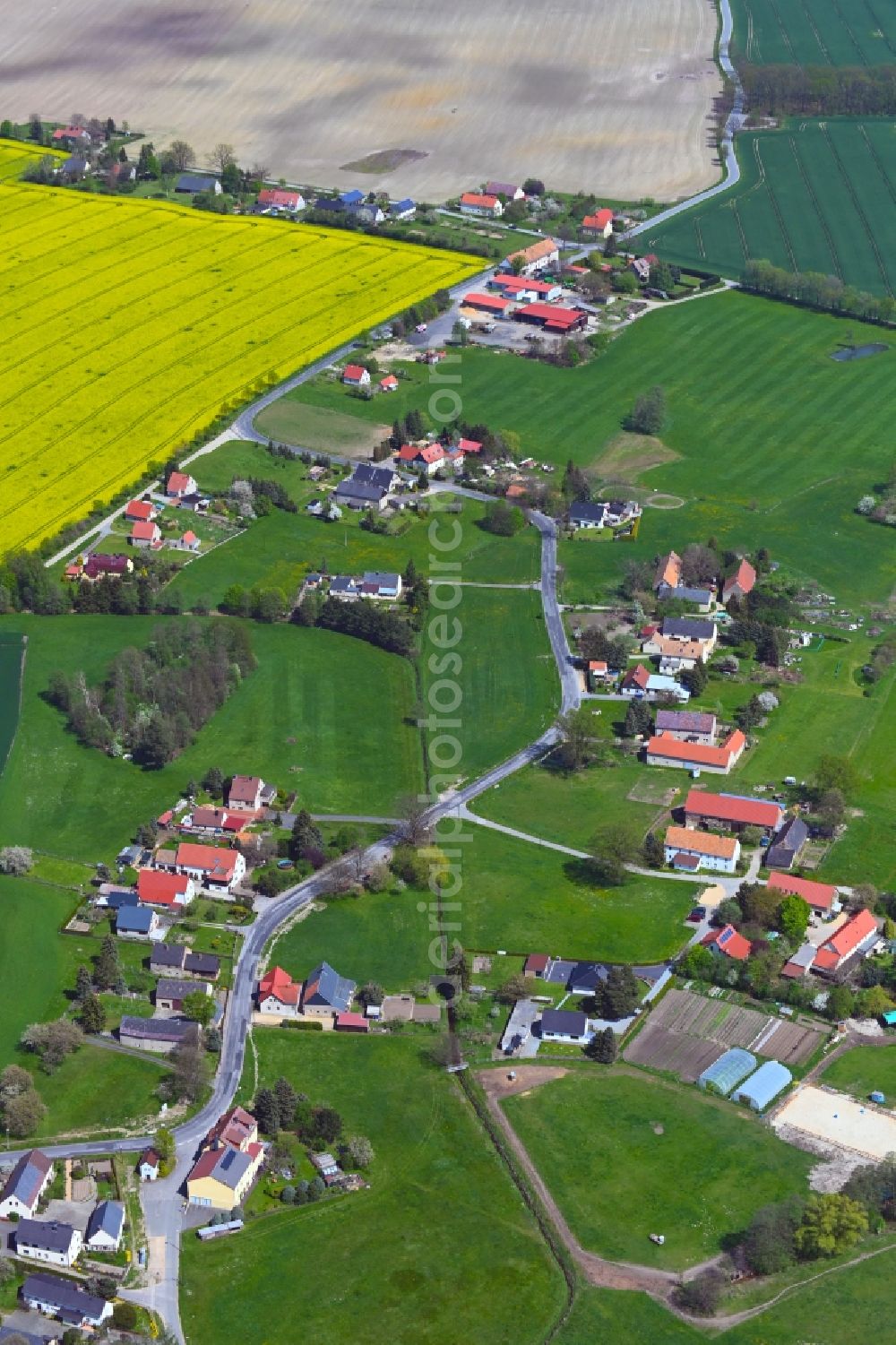 Aerial image Tetta - Agricultural land and field boundaries surround the settlement area of the village on Tetta Strasse in Tetta in the state Saxony, Germany